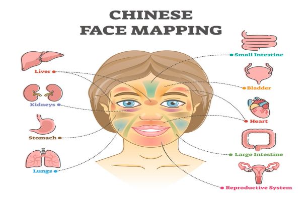 acne facial mapping