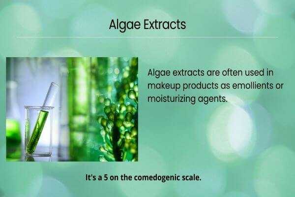 Algae extracts