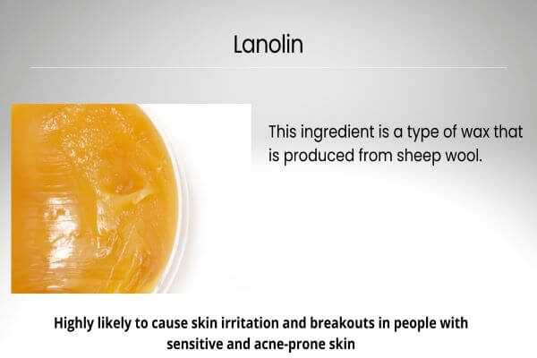 Makeup ingredient: lanolin
