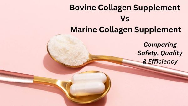 Bovine Collagen Vs Marine Collagen Supplements