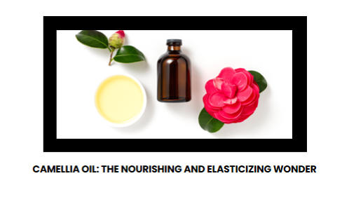 Camellia Oil: The Nourishing and Elasticizing Wonder