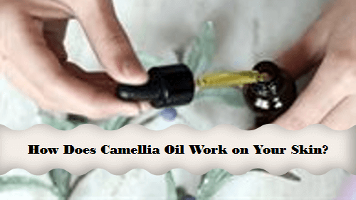 How Does Camellia Oil Work on Your Skin?