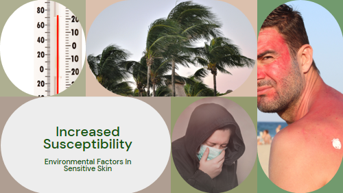 Increased Susceptibility to Environmental Factors in Sensitive Skin