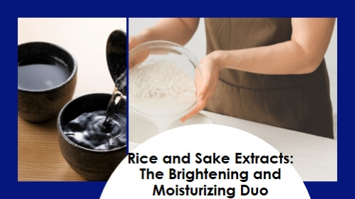 Rice and Sake Extracts: The Brightening and Moisturizing Duo