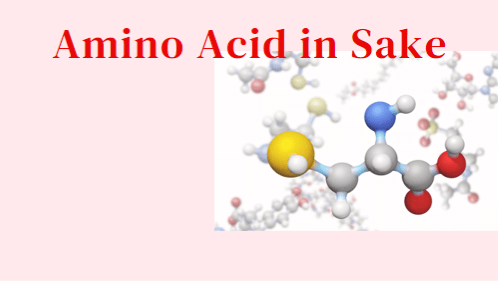 Amino Acids Boost Skin Elasticity and Health