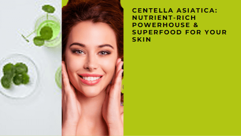 Centella Asiatica: Nutrient-rich Powerhouse & Superfood for Your Skin