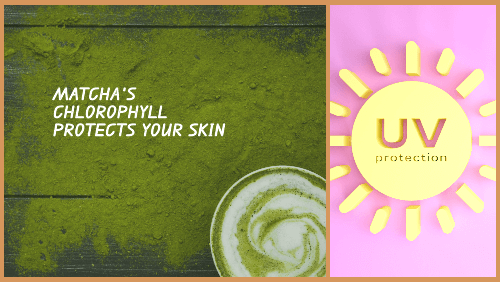 How Chlorophyll In Matcha Protects Your Skin From UV Rays