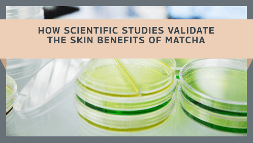 How Scientific Studies Validate The Skin Benefits Of Matcha