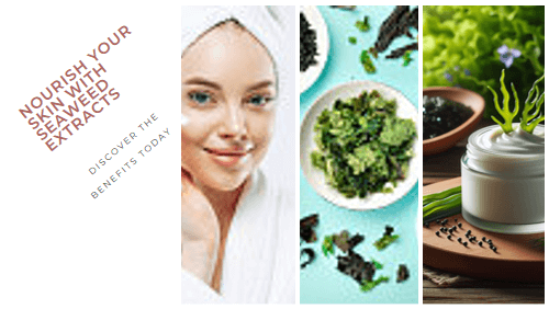Nourish Your Skin With Seaweed Extracts