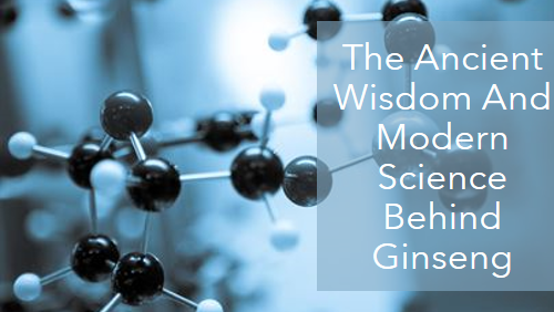 The Ancient Wisdom And Modern Science Behind Ginseng