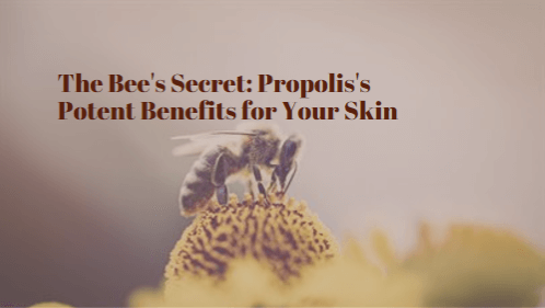 The Bee's Secret: Propolis's Potent Benefits for Your Skin
