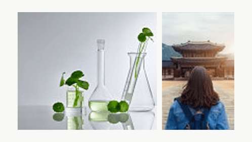 The History and Popularity of Centella Asiatica in K-Beauty