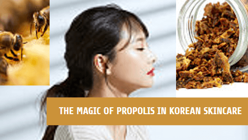 The Magic Of Propolis In Korean Skincare