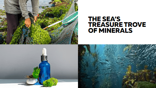The Sea’s Treasure Trove of Minerals