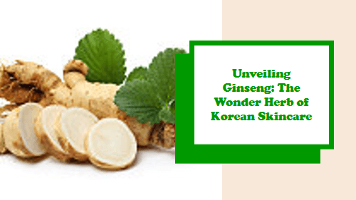 Unveiling Ginseng: The Wonder Herb of Korean Skincare