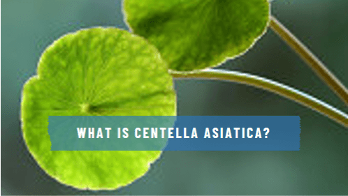 What is Centella Asiatica?