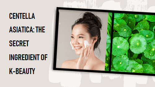 Why Centella Asiatica Is Essential In Korean Skincare The Secret Ingredient Of K-Beauty