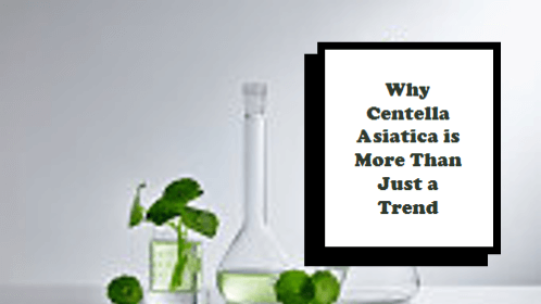 Why Centella Asiatica is More Than Just a Trend