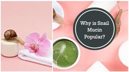 Why is Snail Mucin Popular?